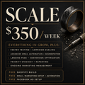 Scale - Growth Accelerated